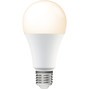 LED SMD Leuchtmittel - Klassisch A70 E27 16W 1900lm 2700K opal 180°