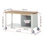 RAU mobile Werkbank Serie 8000, 1 Unterbau-Container, 1 Ablageboden, 4 Schubladen, Höhe 880-1.080 mm