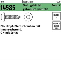 Reyher Blechschraube ISO 14585 m.Innensechsrund/Spitze