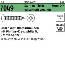 Reyher Blechschraube ISO 7049 LIKO Zapfen/PH