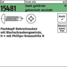 Reyher Flachkopfbohrschraube ISO 15481 m.Kreuzschlitz-PH