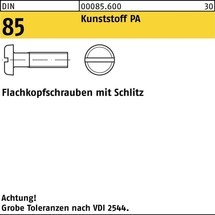 Reyher Flachkopfschraube DIN 85/ISO 1580 Schlitz Polyamid