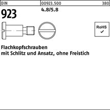 Reyher Flachkopfschraube DIN 923 m.Schlitz/Ansatz