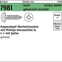 Reyher Kappenkopfblechschraube R 88981 Kreuzschlitz-PH