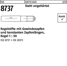 Reyher Kegelstift ISO 8737 m.Gewindezapfen