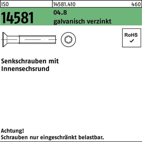 Reyher Senkschraube ISO 14581 m.Innensechsrund 04.8 galv.verz.