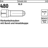 Reyher Vierkantschraube DIN 480 m.Bund/Ansatzkuppe
