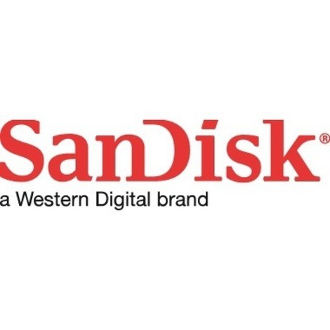 SanDisk USB-Stick Ultra Fit  SANDISK