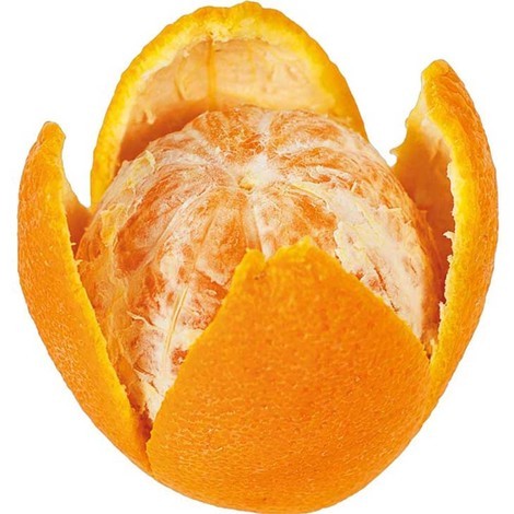 Stalgast Orangenschäler