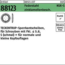 TECKENTRUP Sperrkantscheibe R 88123 NSK-S 
