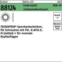 TECKENTRUP Sperrkantscheibe R 88124 NSK-M 