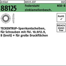 TECKENTRUP Sperrkantscheibe R 88125 NSK-B