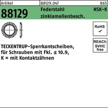 TECKENTRUP Sperrkantscheibe R 88129 NSK-K 